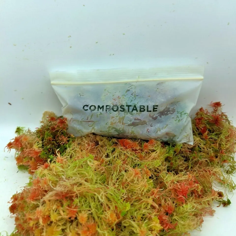 Supplies — a plant from the current register
